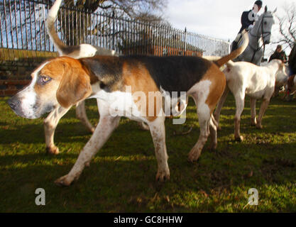 Mitglieder der Chiddingfold, Leconfield und Cowdray Hunt treffen sich zum traditionellen Boxing Day bei den Zwingern im Petworth House, Petworth, West Sussex. Stockfoto