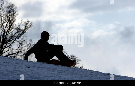 Ein Junge auf einem Schlitten im Christchurch Park in der Mitte, von Ipswich, Suffolk. Stockfoto