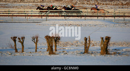 Pferderennen - Southwell Racecourse. Pferde Rennen in der Southwell-racecourse.co.uk Rating Related Maiden Stakes als Schnee liegt auf dem Boden Stockfoto