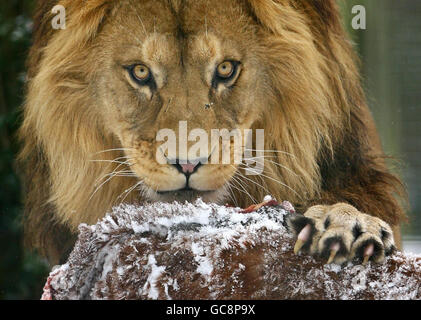 Winterwetter Jan08th Stockfoto