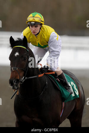 Jockey Nicky Mackay auf dem sengenden Wind geht zu posten In der Betdaq die Wettbörse Super 7 Handicap Stockfoto