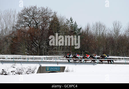 Pferderennen - Lingfield Rennbahn Stockfoto