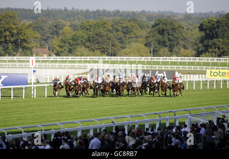 Pferderennen - Drittes Ascot Racecourse Beer Festival - Tag Zwei - Ascot Racecourse. Gesamtansicht der Ascot Racecourse Stockfoto