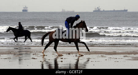 Pferderennen - Redcar Strand Galoppaden Stockfoto