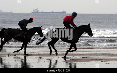 Pferderennen - Redcar Beach Galoppiert. Da die Temperaturen steigen und die Aussicht auf Turf-Rennen zunimmt, halten viele Trainer aus dem Norden ihre Pferde am Redcar-Strand fit. Stockfoto