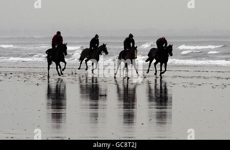 Pferderennen - Redcar Strand Galoppaden Stockfoto