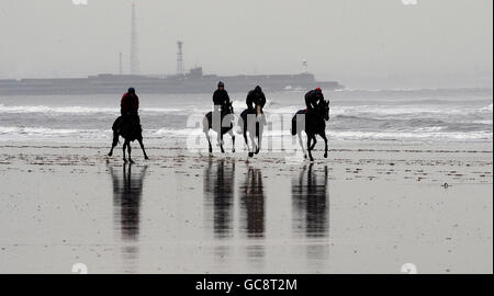 Pferderennen - Redcar Beach Galoppiert. Da die Temperaturen steigen und die Aussicht auf Turf-Rennen zunimmt, halten viele Trainer aus dem Norden ihre Pferde am Redcar-Strand fit. Stockfoto