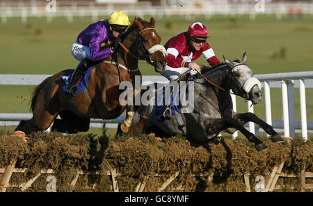 Pferderennen Sie - Toshiba Irish Champion Hurdle - Leopardstown Racecourse Stockfoto