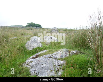 Ein großer bewachsenen Felsen mitten in einem Feld Stockfoto