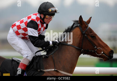 Jockey Jimmy Quinn auf Maigold Rose geht nach innen Die victorchandler.com Median Auction Maiden Stakes Stockfoto