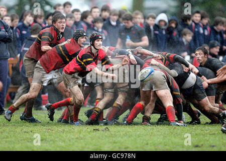 Spielaction zwischen der Merchiston Castle School (in Blau) und Stewart's Melville College während des Brewin Dolphin Scottish Schools Cup Halbfinalmatches in der Colinton Road, Edinburgh. Stockfoto