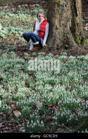 Bath University Student, Lucy Moir,19, aus Painswick, unter den Schneeglöckchen in Painswick Rococo Gardens in Gloucestershire, wo Hunderttausende von Schneeglöckchen ihre Köpfe über dem Boden gezeigt haben, zwei Wochen später. Stockfoto