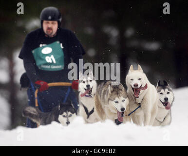 Aviemore Sled Dog Rally. Husky-Rennfahrer nehmen an der 27. Aviemore Sled Dog Rally in der Nähe von Aviemore in Schottland Teil. Stockfoto