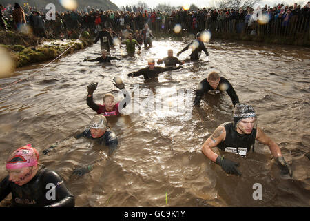 Tough Guy 2010 - Year Of The Original Heroes - Perton. Die Teilnehmer waten durch den Sumpfteil von Tough Guy Stockfoto
