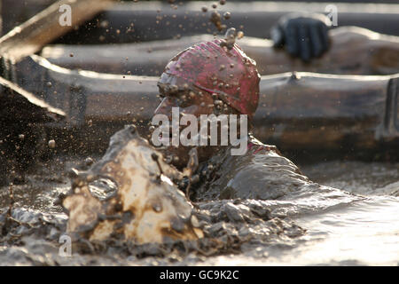 Harter Kerl 2010 - Jahr der ursprünglichen Helden - Perton Stockfoto