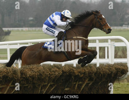 Pferderennen - Hennessy Gold Cup - Leopardstown Racecourse. Ruby Walsh springt während der Deloitte Novice Hürde während des Hennessy Gold Cup auf der Leopardstown Racecourse, Dublin, zum letzten Mal auf Fionnegas. Stockfoto