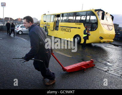 Amfibus Stockfoto