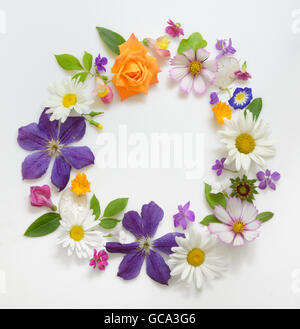 Auswahl an verschiedenen Blumen, Isolated on White Background Stockfoto