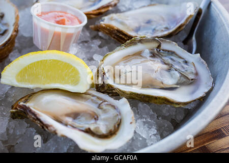 Rohe Malpaque Austern auf Eis mit Zitrone und Meeresfrüchte Sauce. Stockfoto