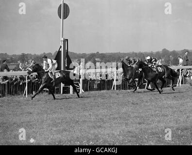 Horse Racing - die Eclipse Stakes - Sandown Park - Esher - 1955 Stockfoto