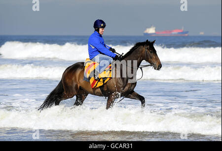 Pferderennen - Redcar Strand Galoppaden Stockfoto