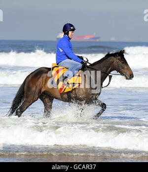 Letzte Vorbereitungen für den großen Tag als Kalahari King und sein großer Rennjockey Graham Lee trainieren auf Redcar Beach, Cleveland. Stockfoto