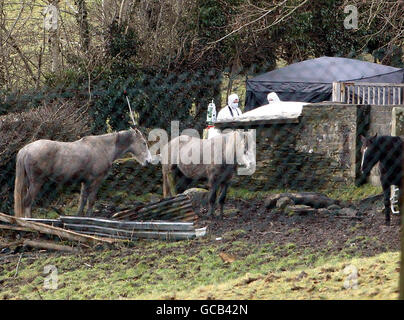 Mann erschossen in Ulster Stockfoto