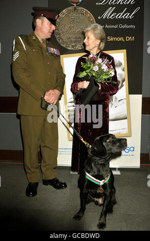 Black Labrador Treo, ein pensionierter Sprengstoff-Suchhund der die Dickin-Medaille, das tierische Äquivalent eines Victoria-Kreuzes, mit seinem Handler Sergeant Dave Heyhoe im Gespräch mit Prinzessin Alexandra, die die Medaille während einer Zeremonie im Imperial war Museum im Süden Londons überreichte. Stockfoto