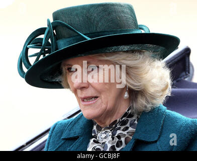 Die Herzogin von Cornwall reist in einer Kutsche während einer feierlichen Begrüßung des südafrikanischen Präsidenten Jacob Zuma auf der Horse Guards Parade in London, zu Beginn des dreitägigen Staatsbesuchs des Präsidenten. Stockfoto