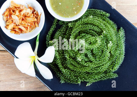 Meer Trauben oder grünen Kaviar und pikanter Sauce auf einem schwarzen Schale der Holztisch Stockfoto