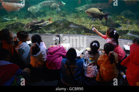 Das Siam Ocean World Aquarium im Zentrum Stadt in Pratunam in der Stadt von Bangkok in Thailand in Südostasien. Stockfoto