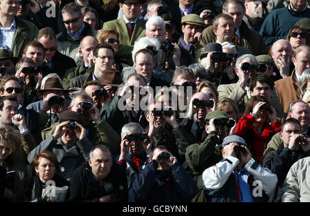 Horse Racing - 2010 Cheltenham Festival - Tag eins Stockfoto