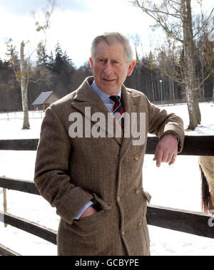 Der Prinz von Wales bei einem Besuch der polnischen Tarpan Pferde in einem Naturschutzgebiet in Bialowie, Polen zu sehen. Prinz Charles und die Herzogin von Cornwall besuchen Polen im Rahmen einer Tour durch Osteuropa. Stockfoto