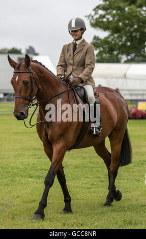 Wettbewerber in der Arbeiterklasse Jäger am ersten Tag des Kent County Show Stockfoto