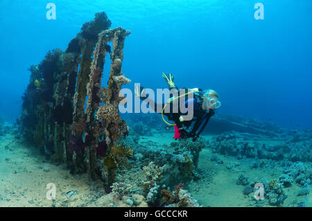 Rotes Meer, Ägypten, Ägypten. 3. März 2016. Weibliche Taucher am Skelett auf dem Wrack Yolanda, Shark Yolanda Riff, Ras Mohammed Nationalpark, Sinai, Sharm el-Sheikh, Rotes Meer, Ägypten, Afrika © Andrey Nekrassow/ZUMA Wire/ZUMAPRESS.com/Alamy Live-Nachrichten Stockfoto