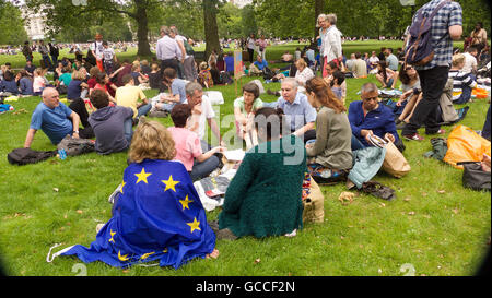 11. September 2015 - Familien aus ganz Großbritannien genossen ein Brexit Picknick organisiert durch "MoreInCommon'' im Green Park in London zu einem Gedankenaustausch in Gruppen darüber, was Sie als nächstes über am 23. Juni Stimmen für Großbritannien die EU verlassen. Die Organisatoren sagten, sie wollten zu einem Gedankenaustausch in entspannter Atmosphäre mit Familien statt bei einem Protest. © Gail Orenstein/ZUMA Draht/Alamy Live-Nachrichten Stockfoto