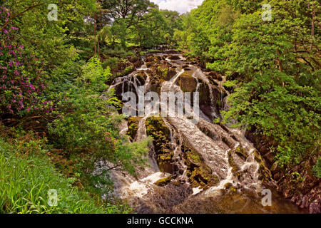 Swallow Falls bei Betws-y-Coed, North Wales, UK Stockfoto