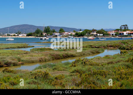 Die Ilha de Armona in der Ria Formosa Natur reservieren, Olhão, Algarve. Portugal Stockfoto