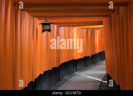 Laterne auf dem Pfad, gesäumt von Torii-Tore am Fushimi Inari-Taisha Schrein, Kyoto, Japan Stockfoto