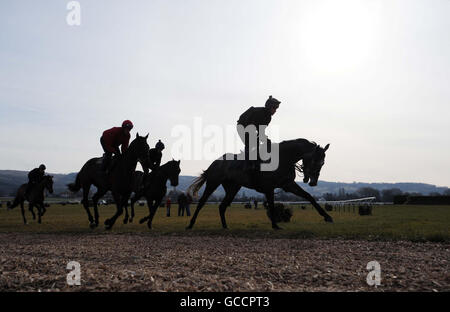 Pferderennen - 2010 Cheltenham Festival - Vorschau Tag Zwei. Unter klarem Himmel arbeiten Pferde auf dem Galopp auf der Cheltenham Racecourse. Stockfoto