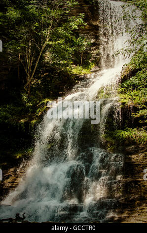 Kaskadierender Wasserfall, der über Felsen in einem üppigen grünen Wald fließt Stockfoto