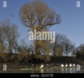 Cambridge University während des Trainings an der Themse, London. Stockfoto