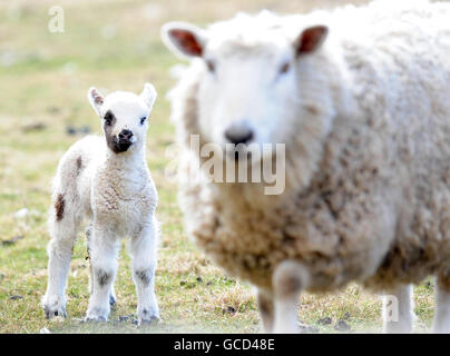 Das Wetter im Frühling Mar10th Stockfoto