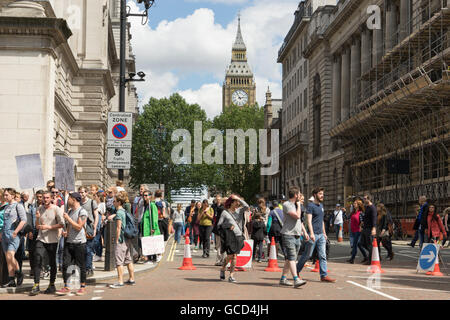 Anti - Brexit Demonstranten Welle Banner gegen die Regierungen des Vereinigten Königreichs Entscheidung, Europäische Union, Massen auf die Straße in der Nähe von Westminster Parlament verlassen. Stockfoto