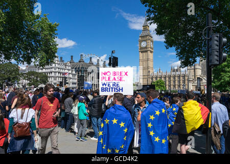 Anti - Brexit Demonstranten Welle Banner gegen die Regierungen des Vereinigten Königreichs Entscheidung, Europäische Union, Massen auf die Straße in der Nähe von Westminster Parlament verlassen. Stockfoto