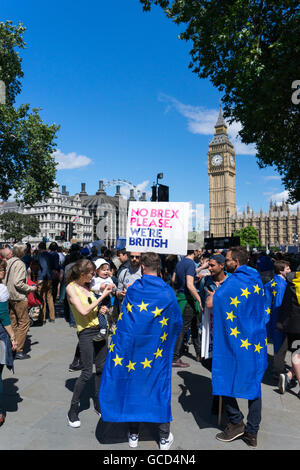 Anti - Brexit Demonstranten Welle Banner gegen die Regierungen des Vereinigten Königreichs Entscheidung, Europäische Union, Massen auf die Straße in der Nähe von Westminster Parlament verlassen. Stockfoto