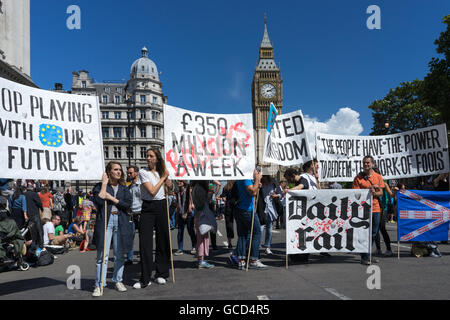 Anti - Brexit Demonstranten Welle Banner gegen die Regierungen des Vereinigten Königreichs Entscheidung, Europäische Union, Massen auf die Straße in der Nähe von Westminster Parlament verlassen. Stockfoto