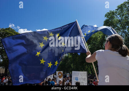 Anti - Brexit Demonstranten Welle Banner gegen die Regierungen des Vereinigten Königreichs Entscheidung, Europäische Union, Massen auf die Straße in der Nähe von Westminster Parlament verlassen. Stockfoto