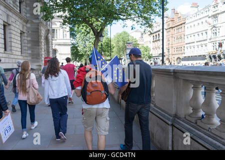 Anti - Brexit Demonstranten Welle Banner gegen die Regierungen des Vereinigten Königreichs Entscheidung, Europäische Union, Massen auf die Straße in der Nähe von Westminster Parlament verlassen. Stockfoto