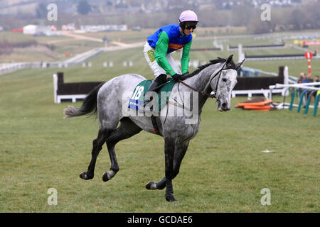 Chapoturgeon unter Jockey Timmy Murphy vor dem Byrne Gruppenschild (Handicap Chase) (Klasse 3) Stockfoto